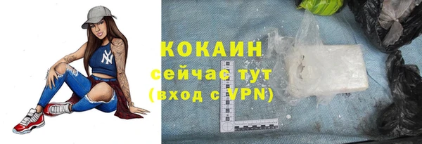 прущие грибы Армянск
