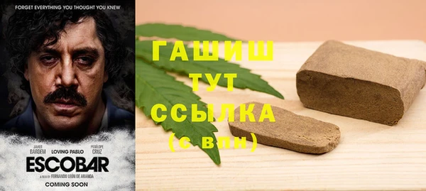 прущие грибы Армянск