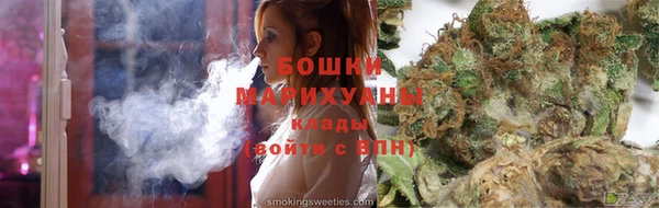 прущие грибы Армянск